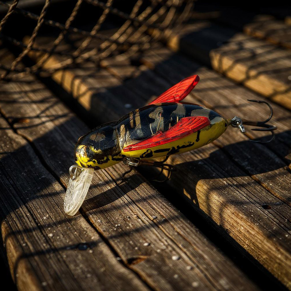 Isca Artificial REBEL Bumble Bug Hornet Vespa Dourada F74-14 Pequena 3,7cm 3g para Tilápia Black Bass - Imagem 6