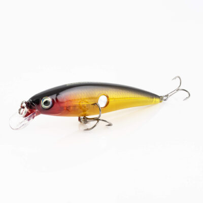 Isca Artificial Albatroz Pegadeira 100 Marrom Cor  06 Meia Água Floating 10cm 15,5g