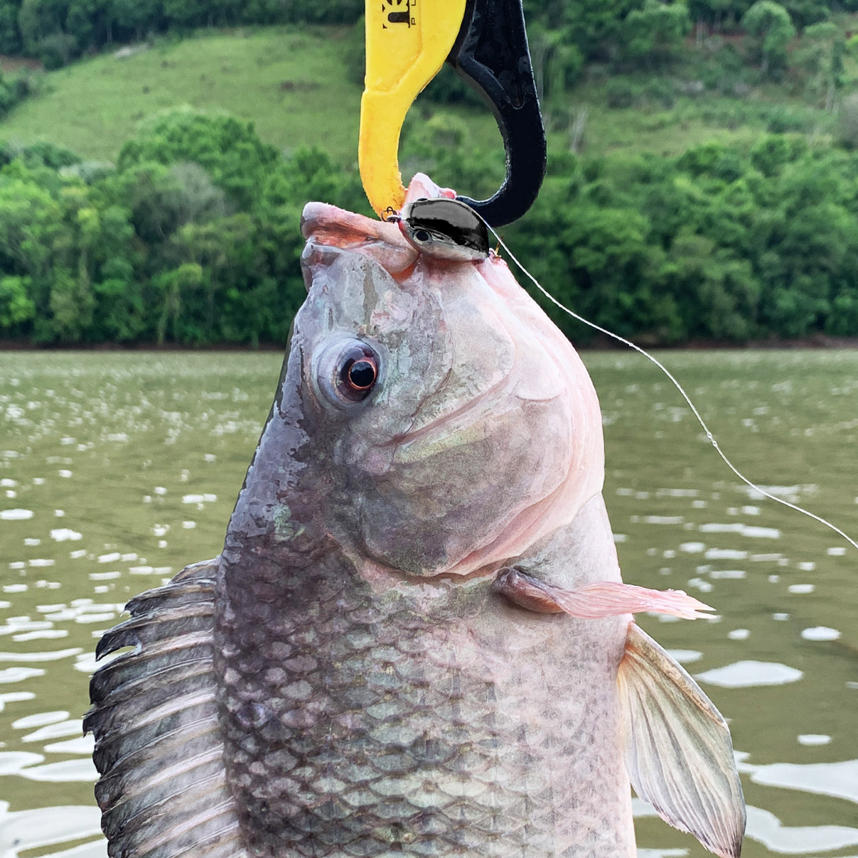 Isca Artificial Firezinha Prateada/Preta de Superfície 3.8cm 4,1g para Tilápia Black Bass Firefish - Imagem 3