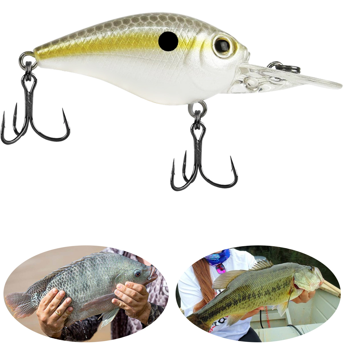 Isca Artificial Marine Beat Crank 45MR 11 Lambari Pinta Preta 4.5cm 6.8g Barbeluda Para Tilápia - Imagem 7