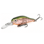 Isca Artificial Albatroz Willy Shad 4cm 2,5g - Cor 2 Verde Dourada Laranja